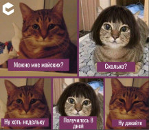 Как отдыхаем на майские праздники.