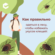 Как одеваться, чтобы избежать укусов клещей (копия).