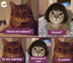 Как отдыхаем на майские праздники.